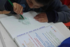 70f619ce-8be3-4e2b-8f3a-7f7a0d3e959f